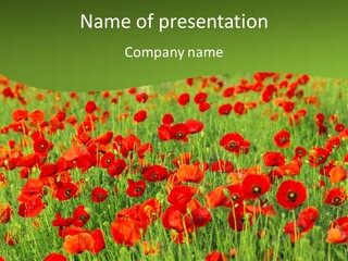 Red Colored Scenics PowerPoint Template