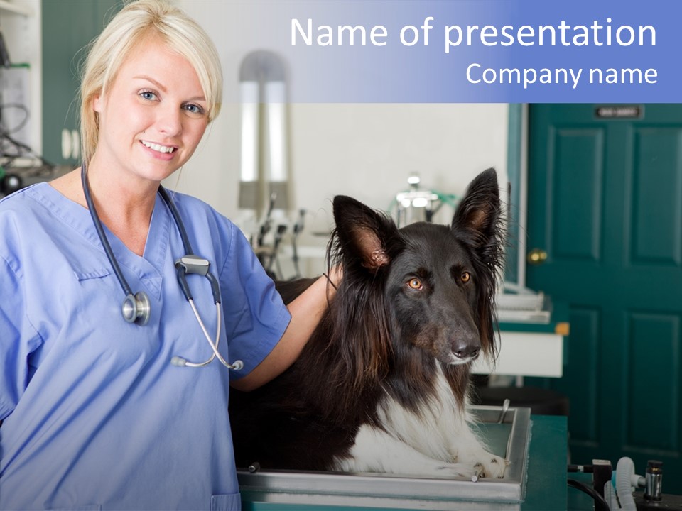 Lady Veterinarian Patient PowerPoint Template