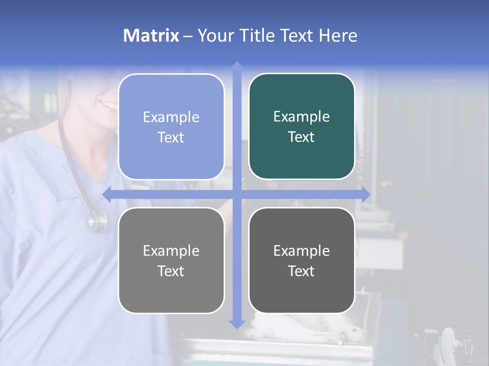 Lady Veterinarian Patient PowerPoint Template