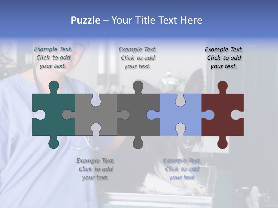 Lady Veterinarian Patient PowerPoint Template