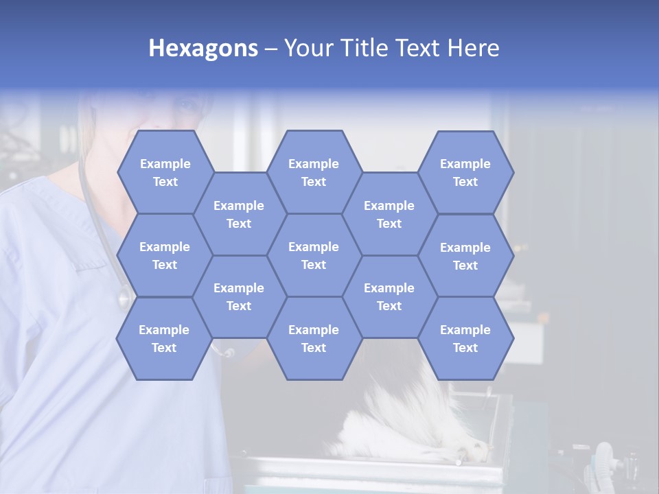 Lady Veterinarian Patient PowerPoint Template