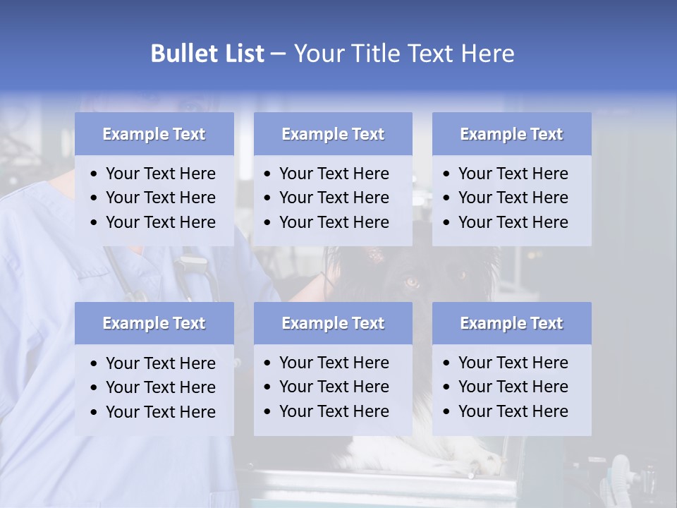 Lady Veterinarian Patient PowerPoint Template