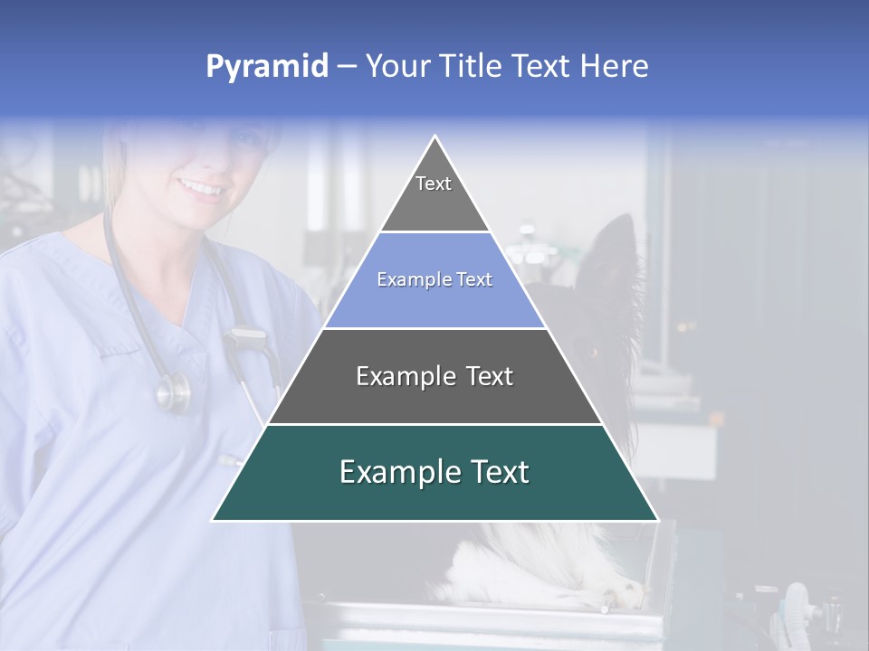 Lady Veterinarian Patient PowerPoint Template