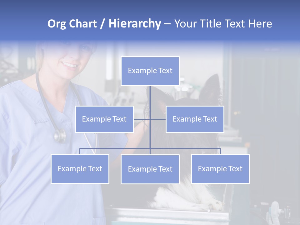 Lady Veterinarian Patient PowerPoint Template