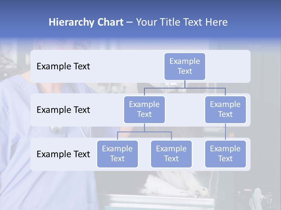 Lady Veterinarian Patient PowerPoint Template