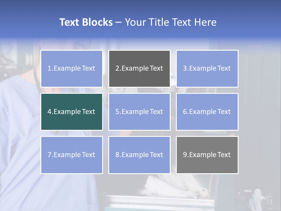 Lady Veterinarian Patient PowerPoint Template