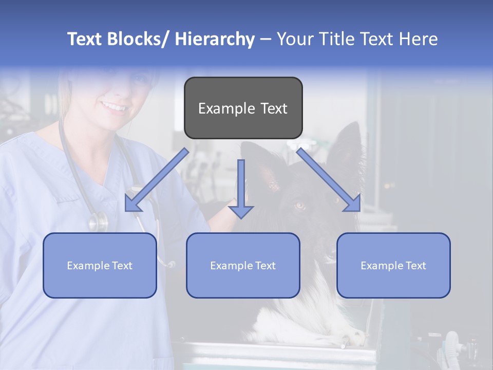 Lady Veterinarian Patient PowerPoint Template