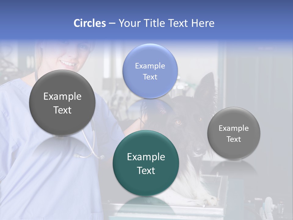 Lady Veterinarian Patient PowerPoint Template