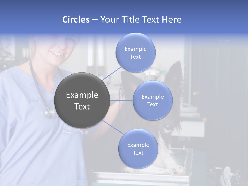 Lady Veterinarian Patient PowerPoint Template