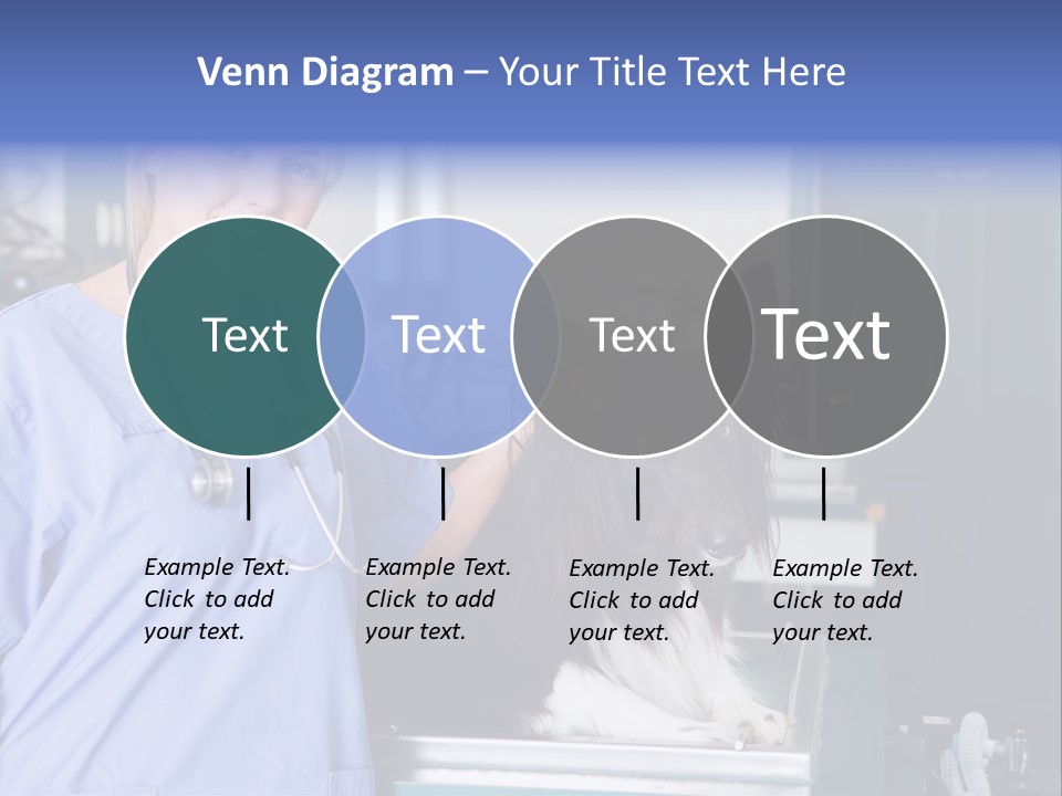 Lady Veterinarian Patient PowerPoint Template