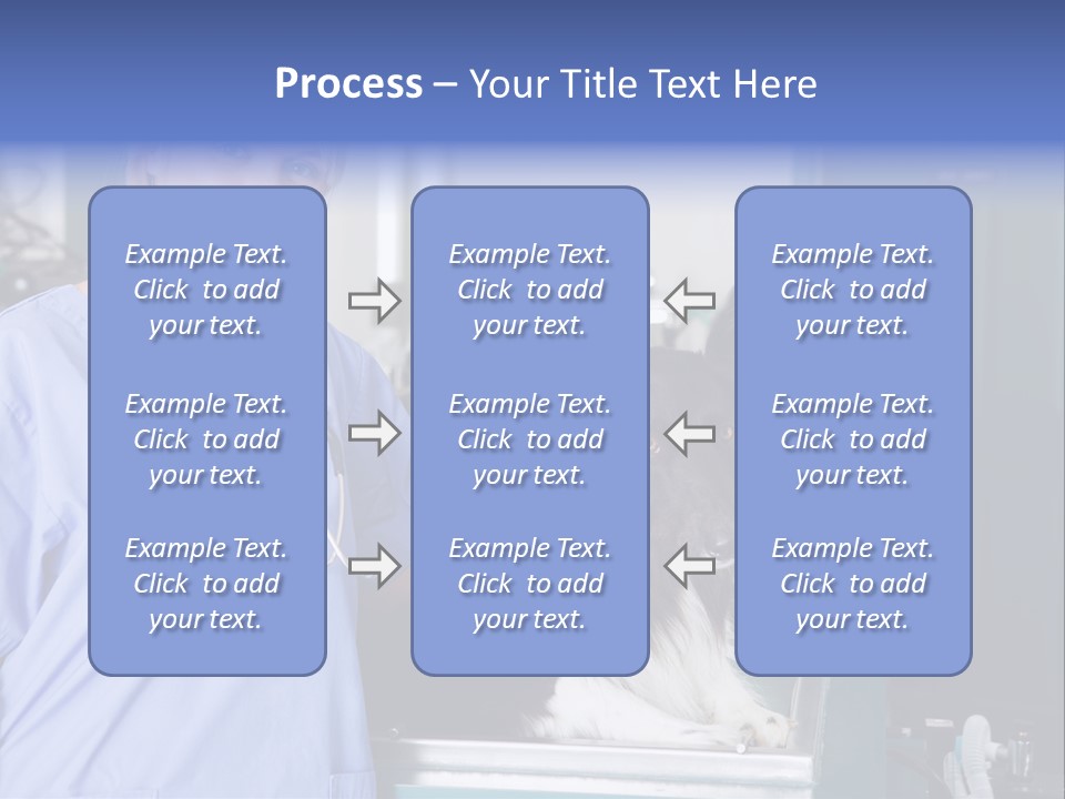 Lady Veterinarian Patient PowerPoint Template