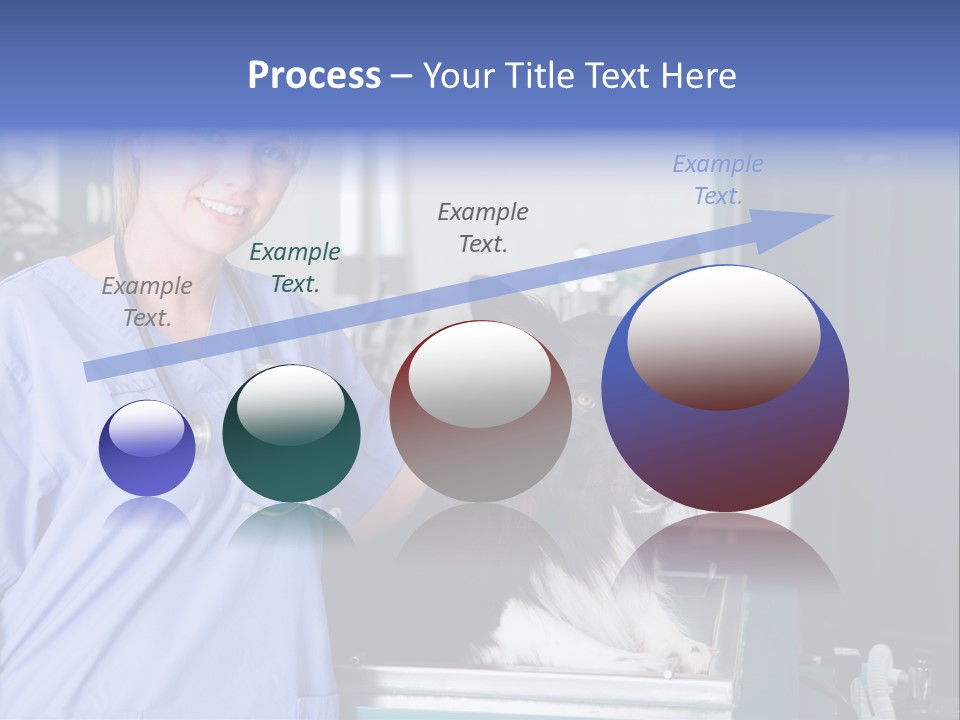 Lady Veterinarian Patient PowerPoint Template