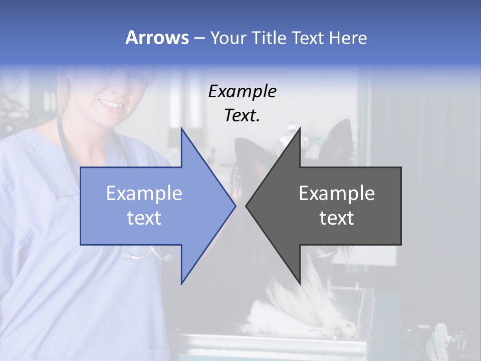 Lady Veterinarian Patient PowerPoint Template