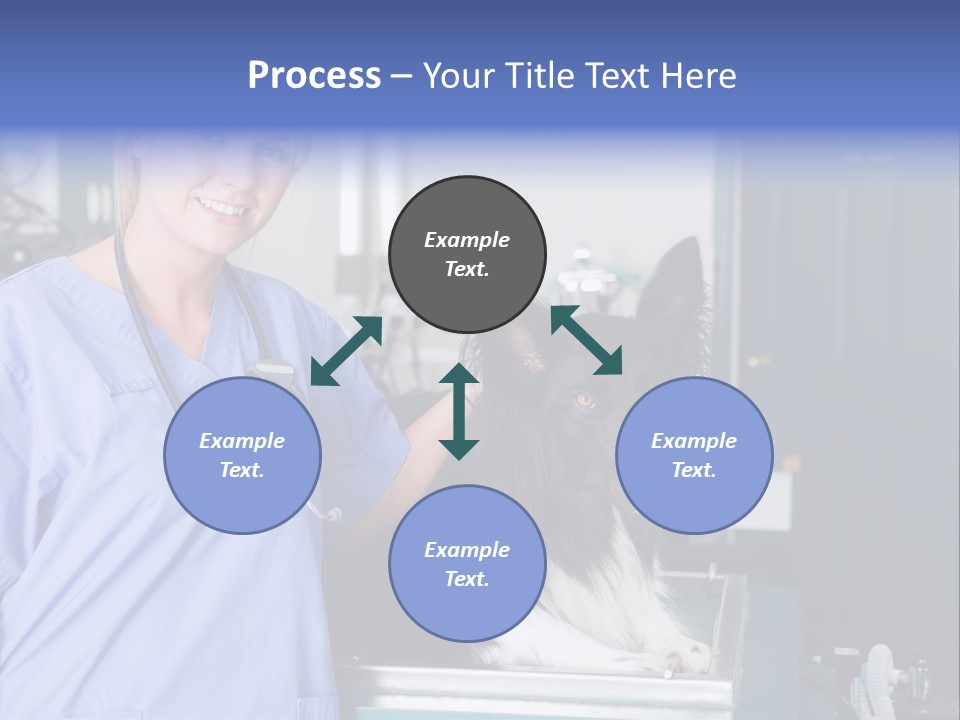 Lady Veterinarian Patient PowerPoint Template