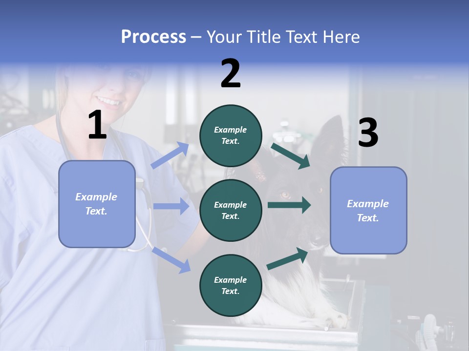 Lady Veterinarian Patient PowerPoint Template
