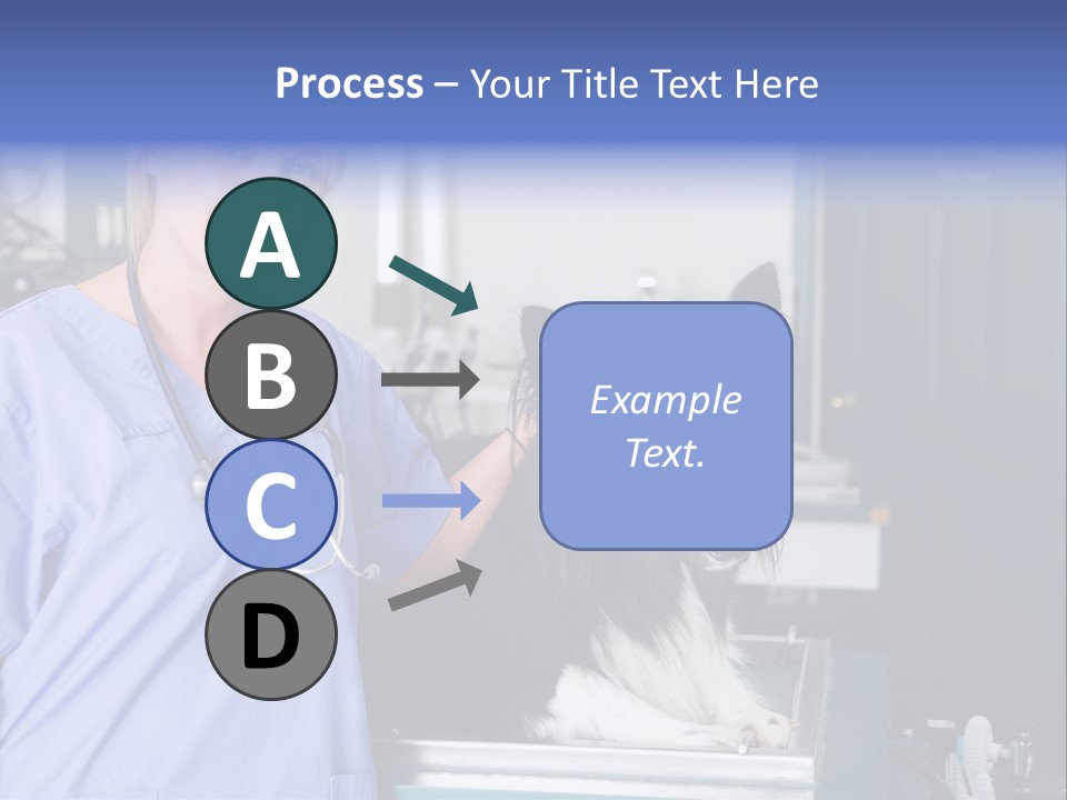 Lady Veterinarian Patient PowerPoint Template