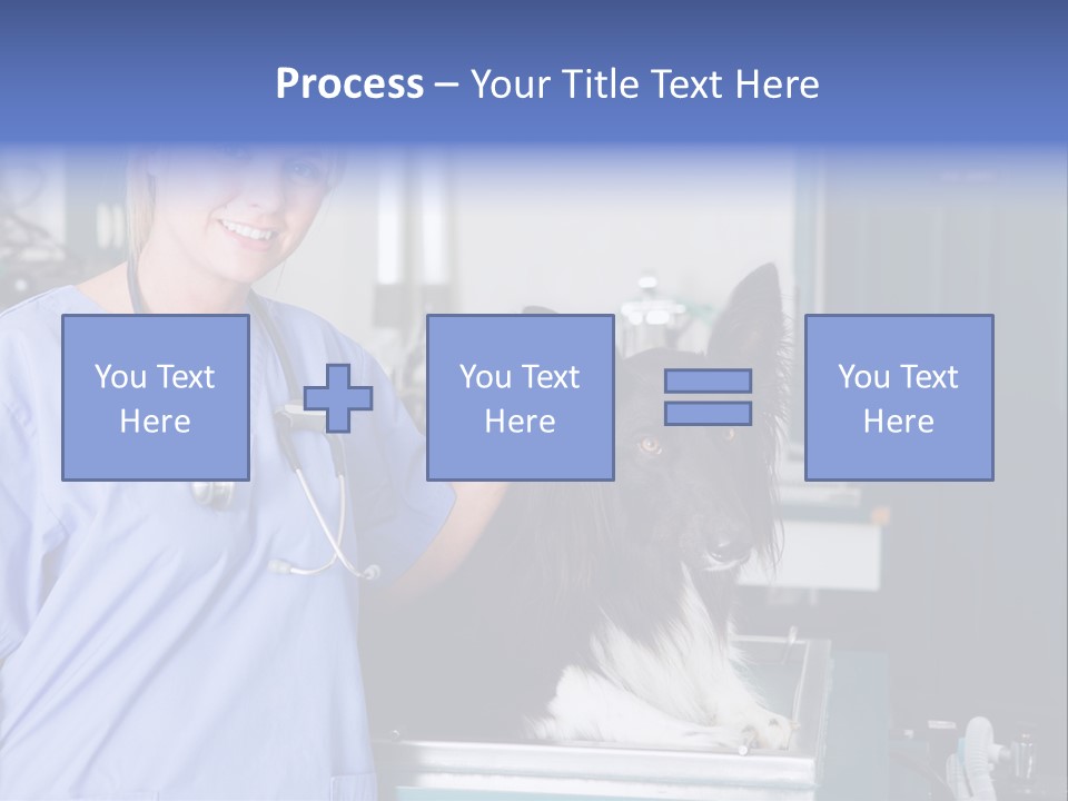 Lady Veterinarian Patient PowerPoint Template
