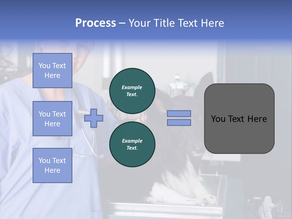Lady Veterinarian Patient PowerPoint Template
