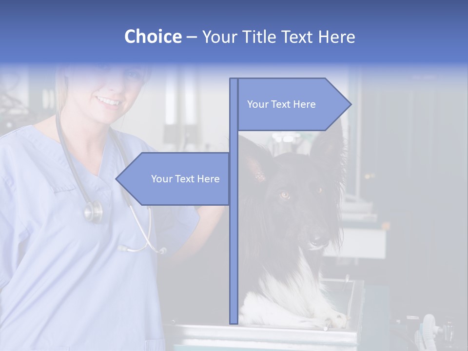 Lady Veterinarian Patient PowerPoint Template
