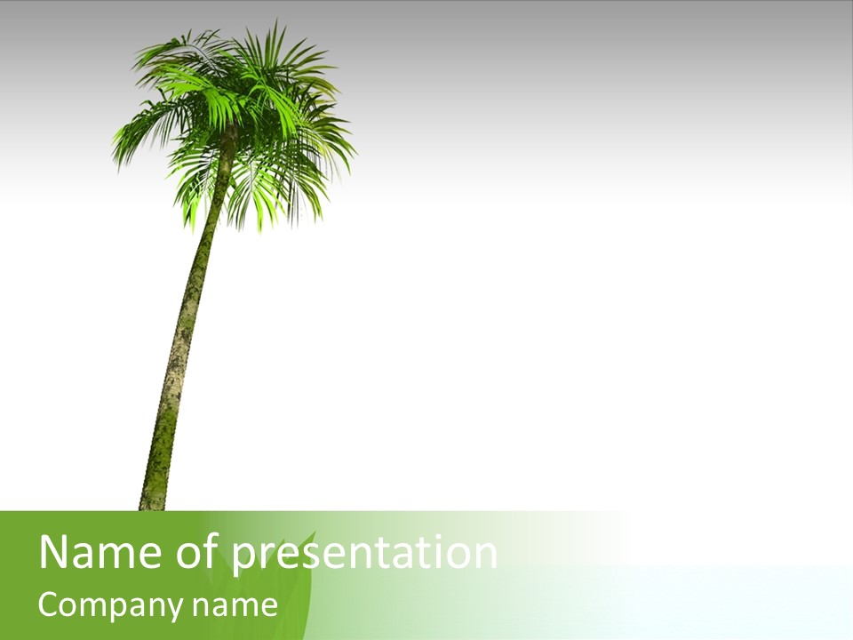 Relax Sand Spring PowerPoint Template