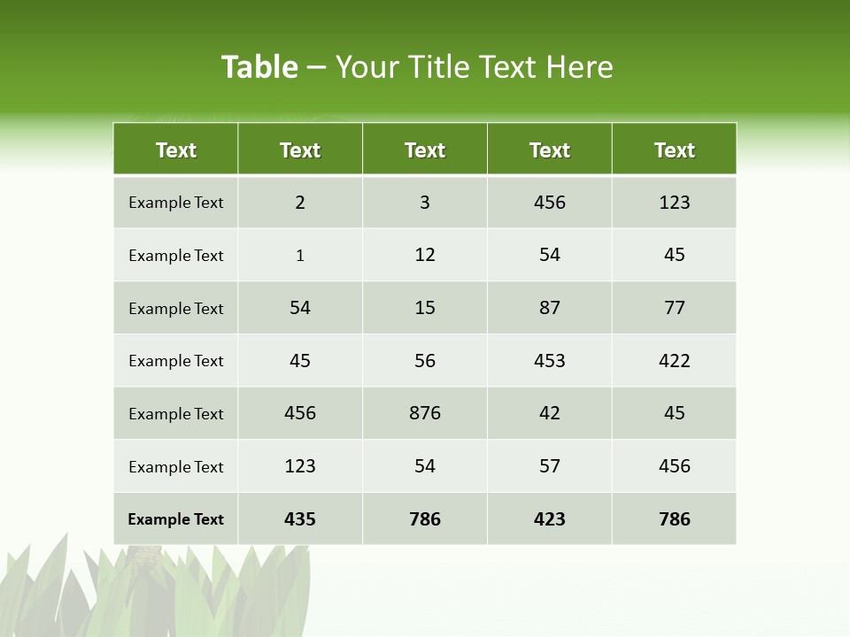 Relax Sand Spring PowerPoint Template
