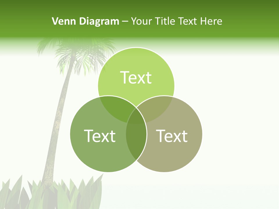 Relax Sand Spring PowerPoint Template