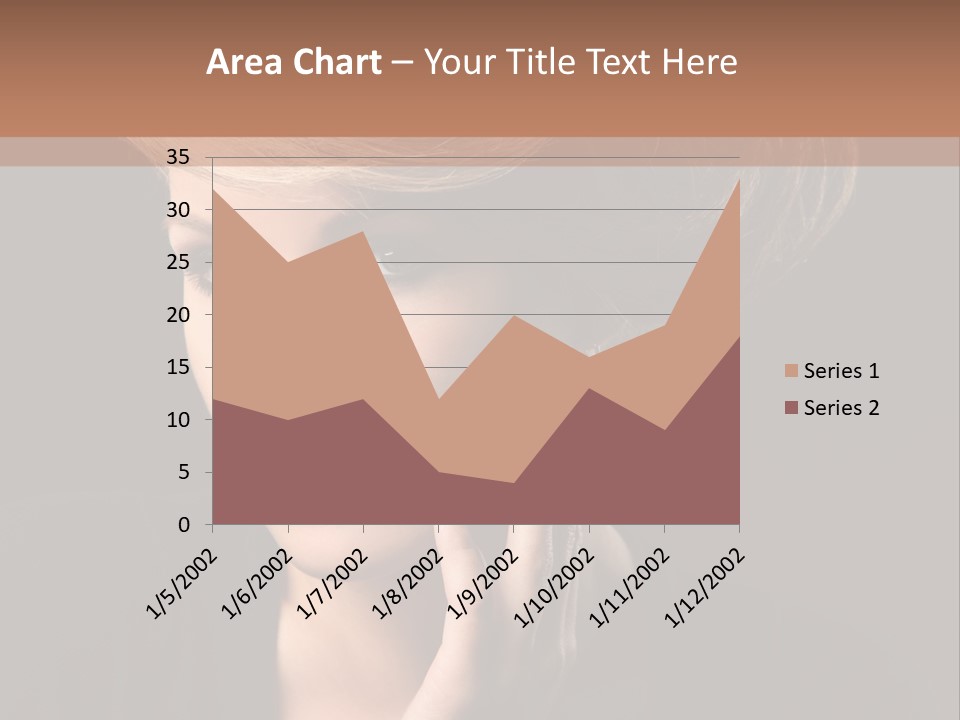 Meeting Li Ten Conference PowerPoint Template