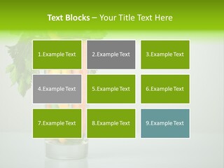 Dieting Snack Freshness PowerPoint Template