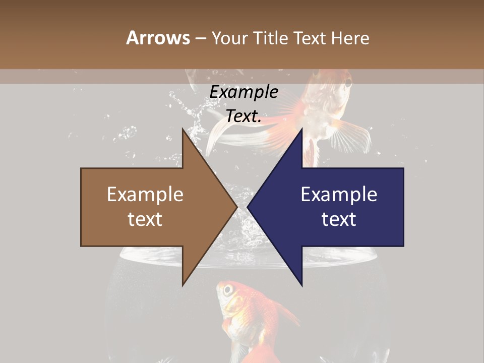 Action Animals Emergence PowerPoint Template
