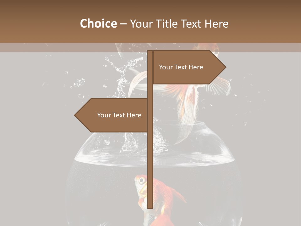 Action Animals Emergence PowerPoint Template