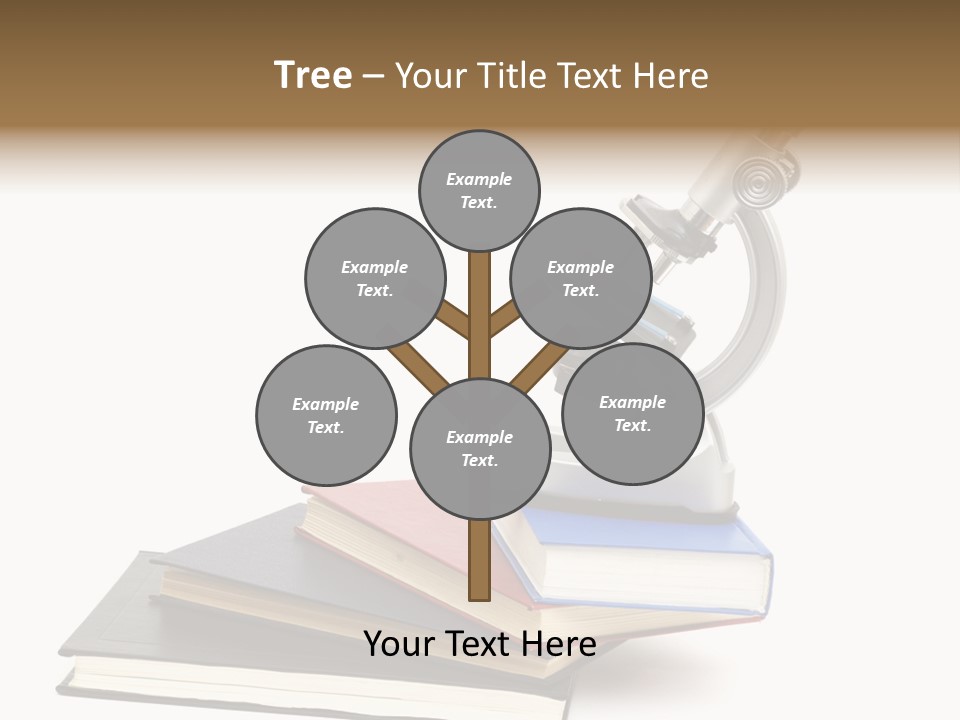 Concept White Studio PowerPoint Template