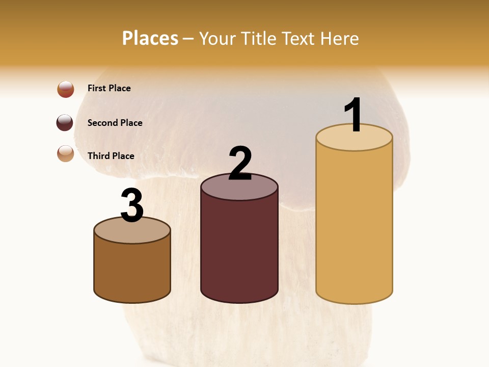 Nobody Background Edible PowerPoint Template