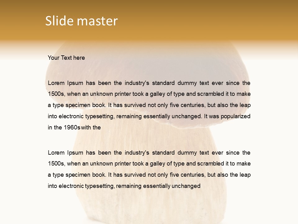 Nobody Background Edible PowerPoint Template