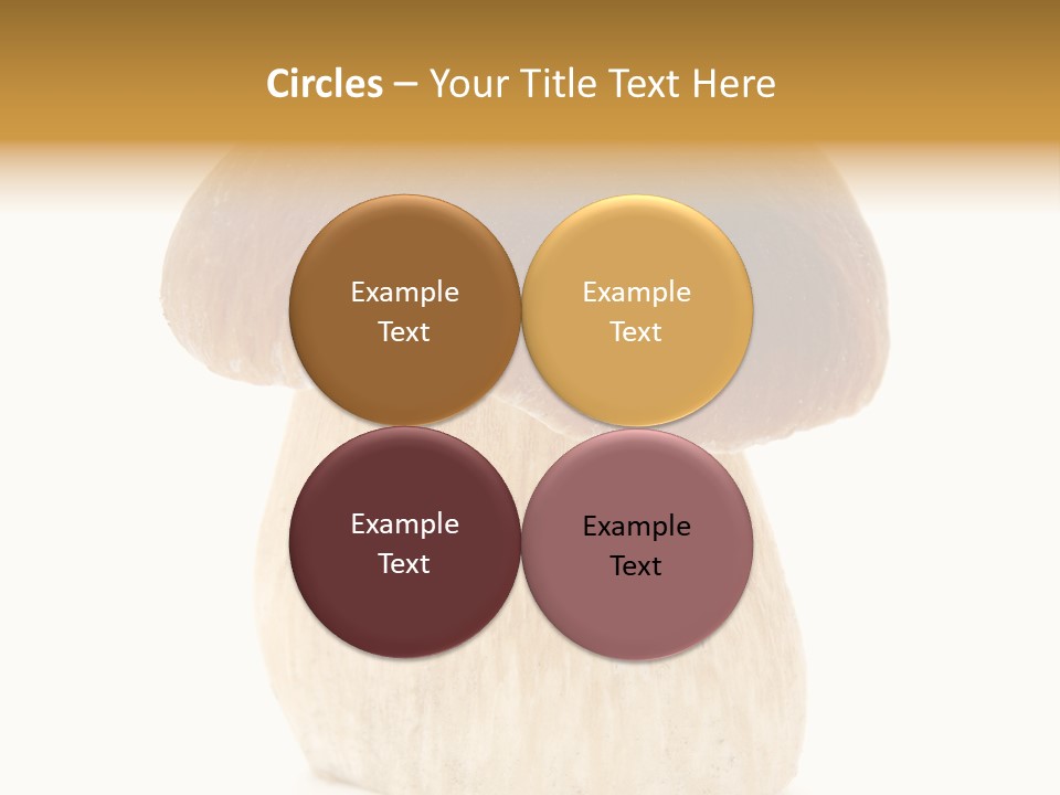 Nobody Background Edible PowerPoint Template