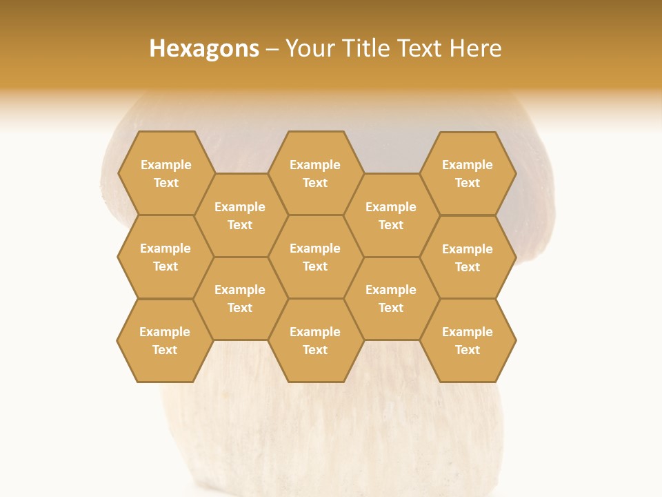 Nobody Background Edible PowerPoint Template