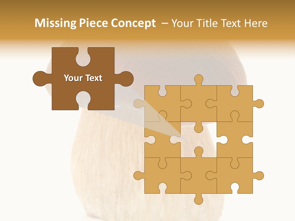 Nobody Background Edible PowerPoint Template