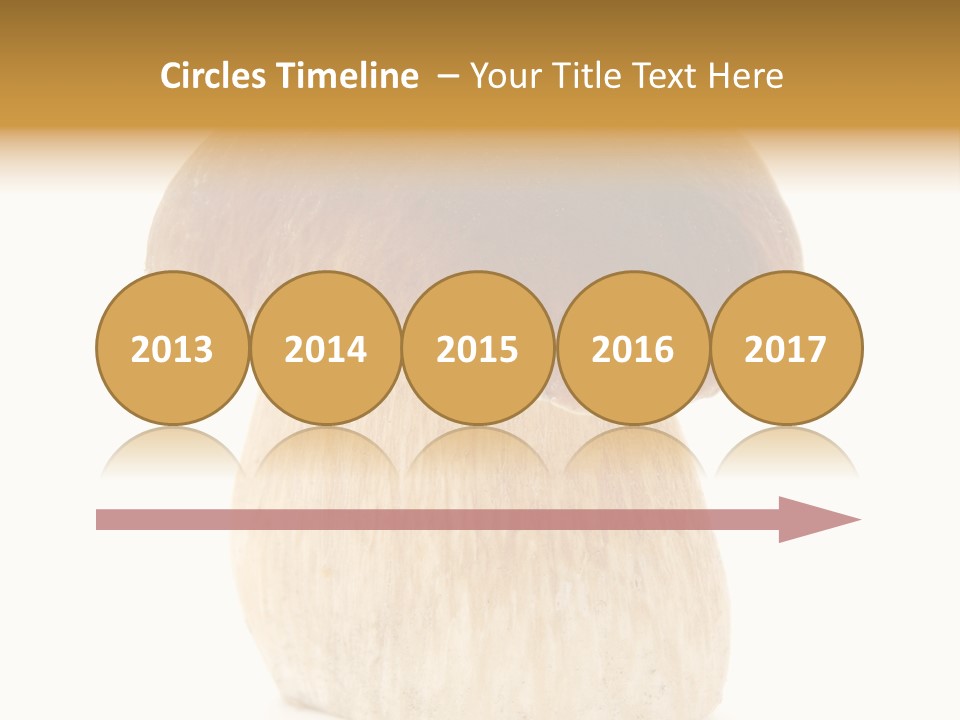 Nobody Background Edible PowerPoint Template