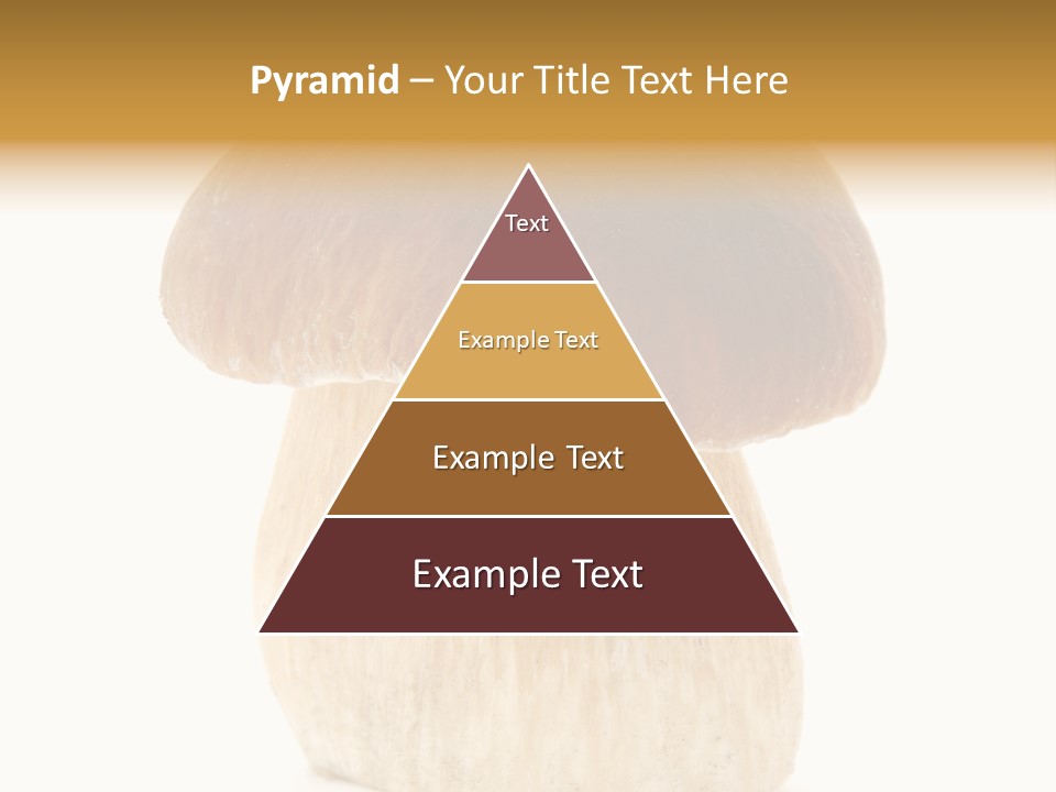 Nobody Background Edible PowerPoint Template