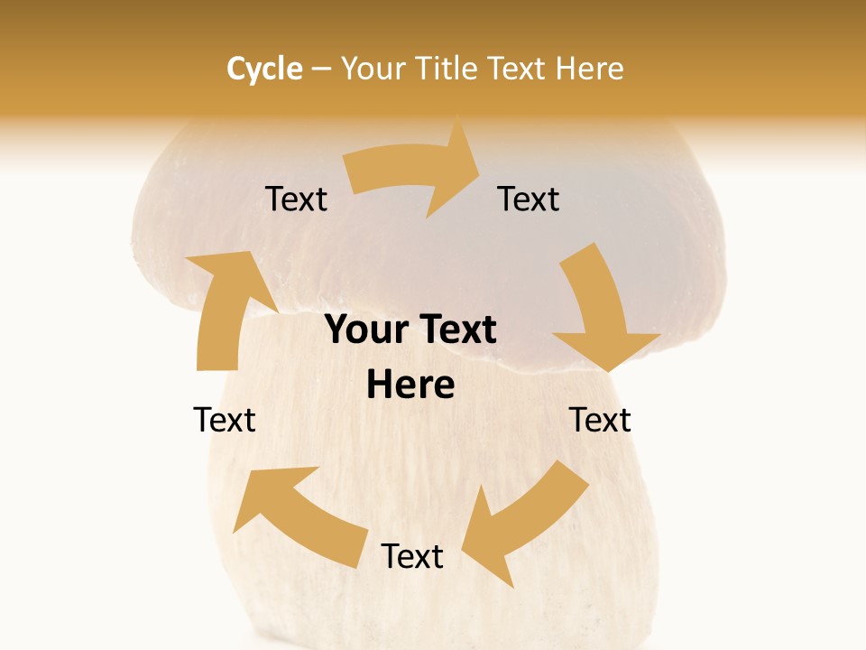 Nobody Background Edible PowerPoint Template
