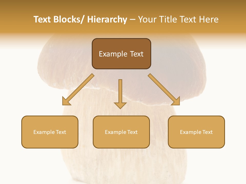 Nobody Background Edible PowerPoint Template