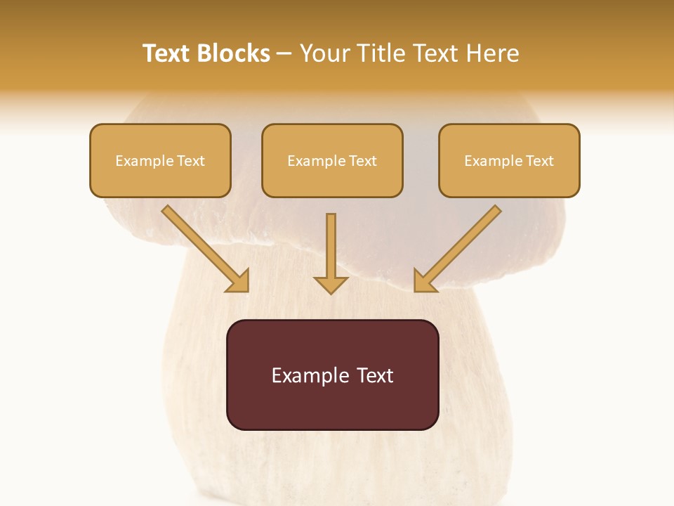 Nobody Background Edible PowerPoint Template