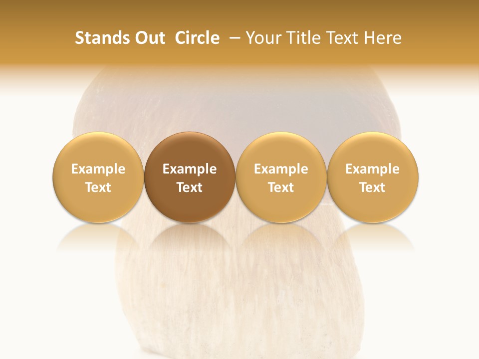 Nobody Background Edible PowerPoint Template