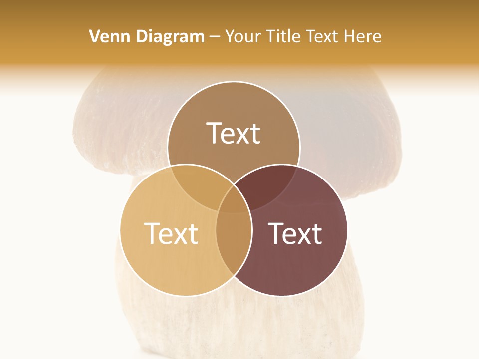 Nobody Background Edible PowerPoint Template