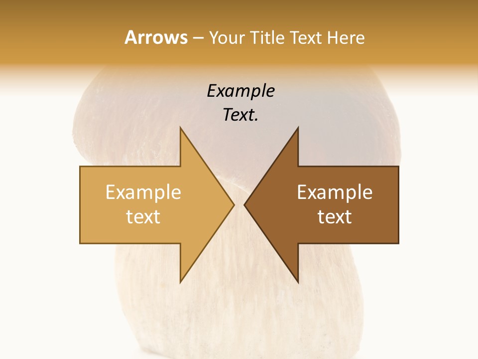 Nobody Background Edible PowerPoint Template