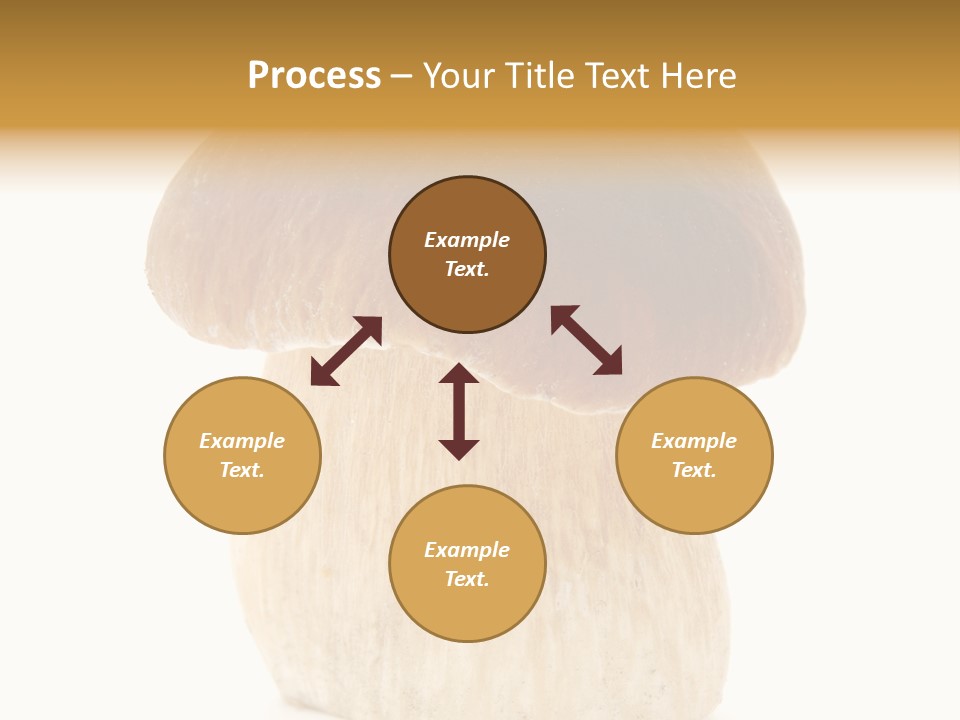 Nobody Background Edible PowerPoint Template