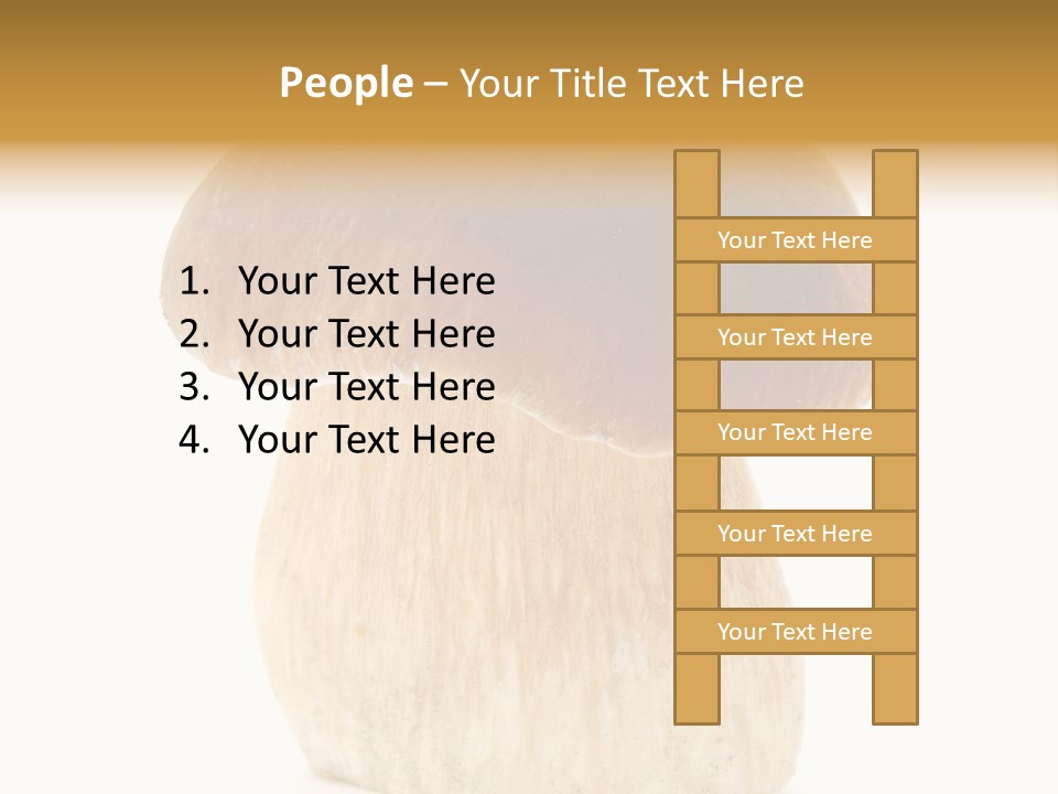 Nobody Background Edible PowerPoint Template