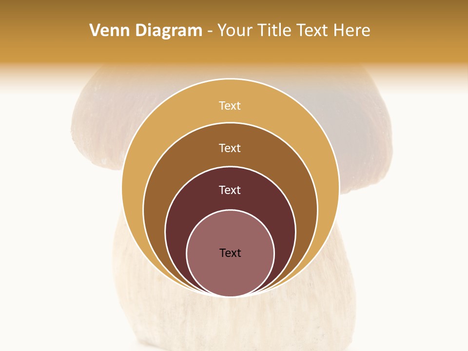Nobody Background Edible PowerPoint Template