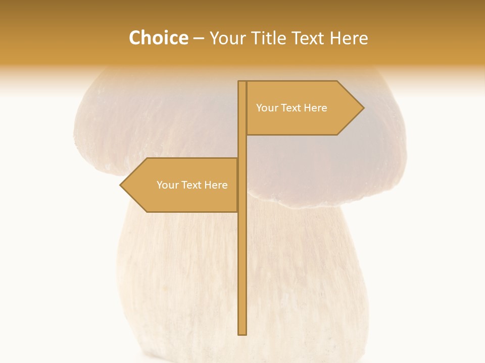 Nobody Background Edible PowerPoint Template