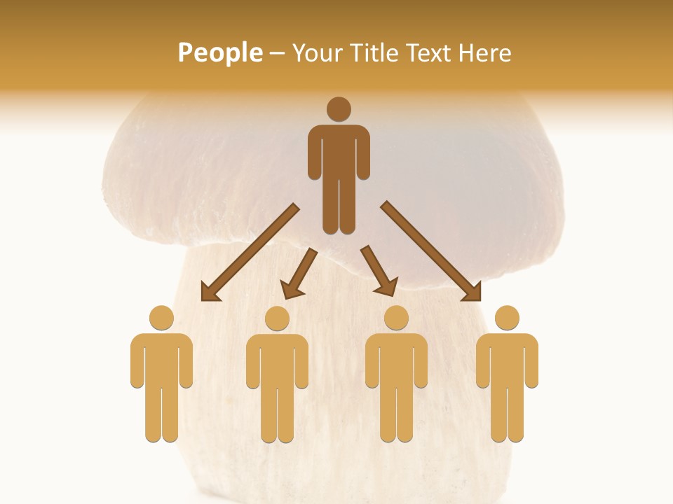 Nobody Background Edible PowerPoint Template