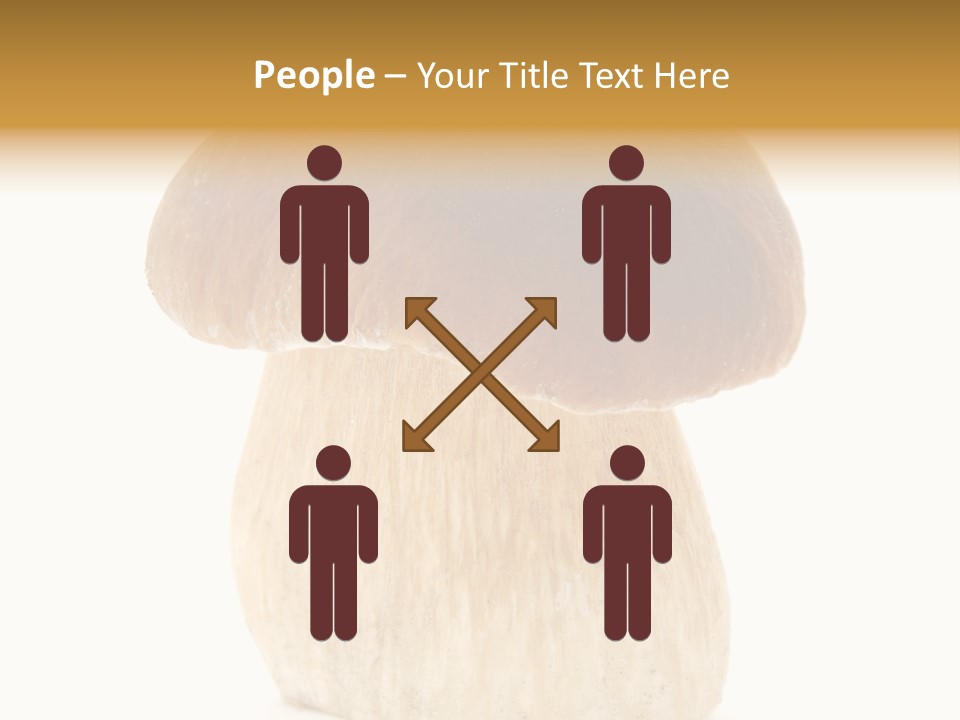 Nobody Background Edible PowerPoint Template